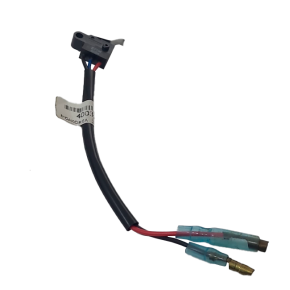 Interruptor LS Micro TRG750