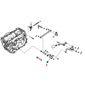 Arm-Pto-Trg293