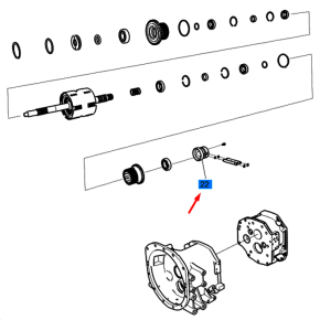 Bucha-Hid F/R(Pst)-Trg281