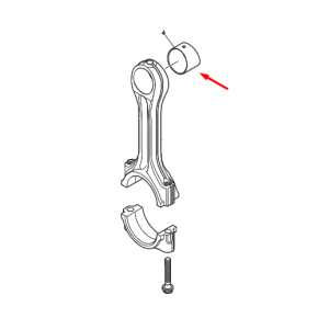 Small End Bush-Pks