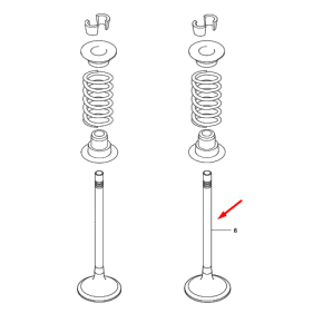 Intake Valve-Pks