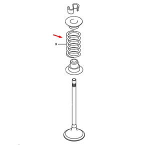 Valve Spring-Pks
