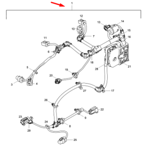 Wiring Harness-Pks