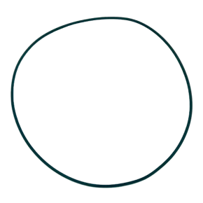 Anel Jacto De Vedacao Oring Ori 165