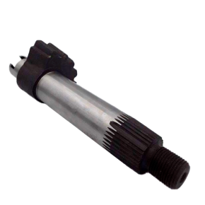 Setor Direção Cbt