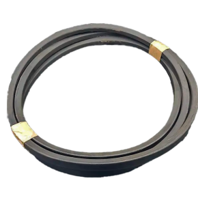 Correia PB 08/2023