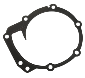 Junta LS Bomba D"Agua