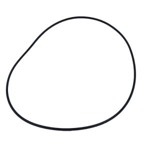 O-Ring Kuhn